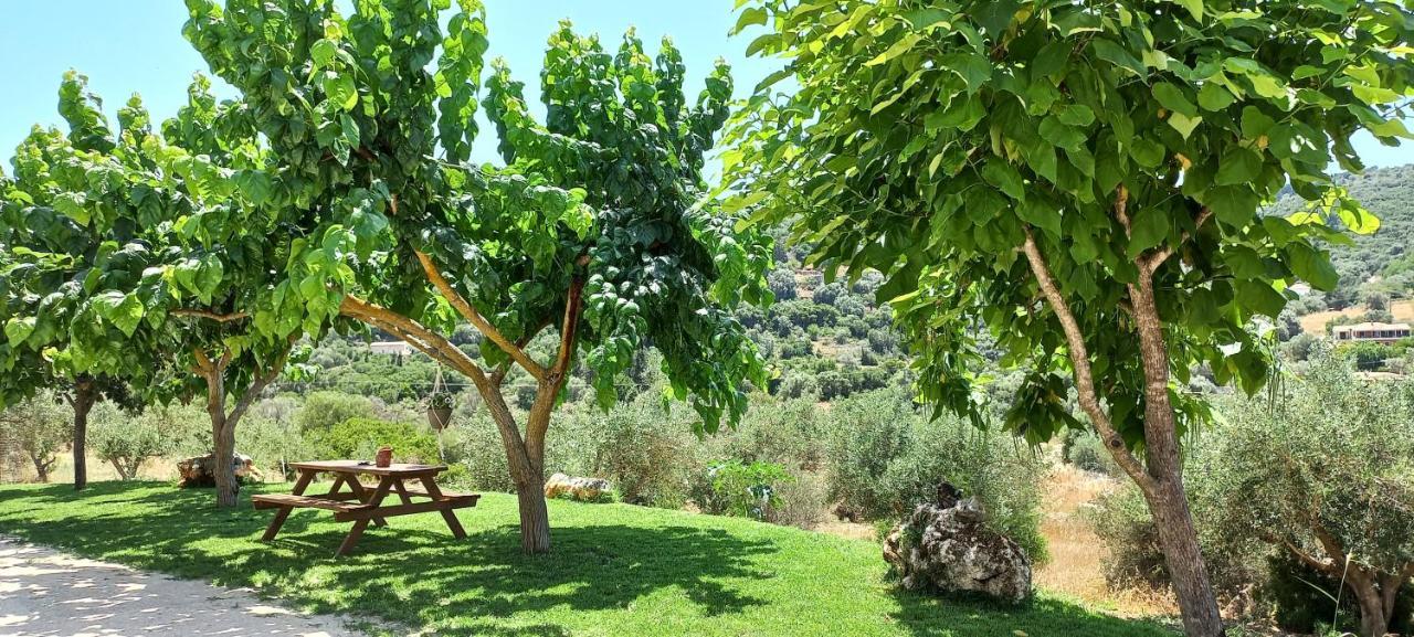 Lily Home_Lefkada ~ Private Country House Kondaraina Exterior photo