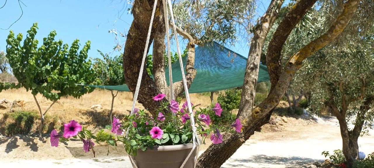 Lily Home_Lefkada ~ Private Country House Kondaraina Exterior photo