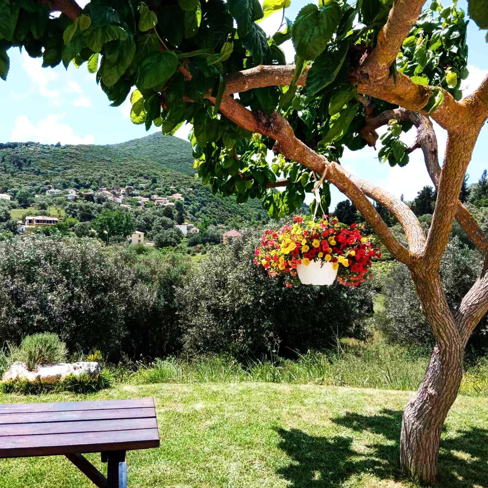 Lily Home_Lefkada ~ Private Country House Kondaraina Exterior photo